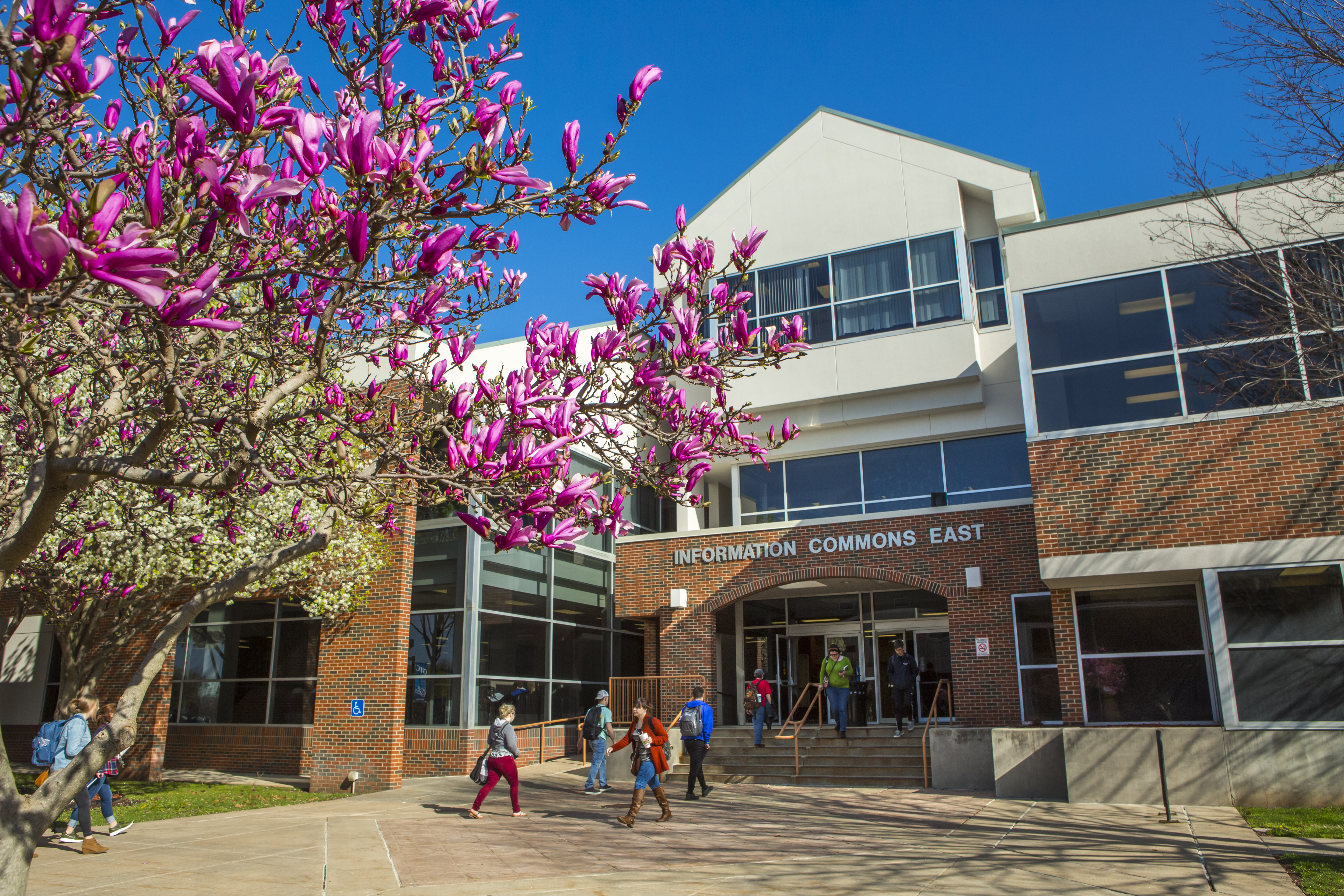 Spring on Campus