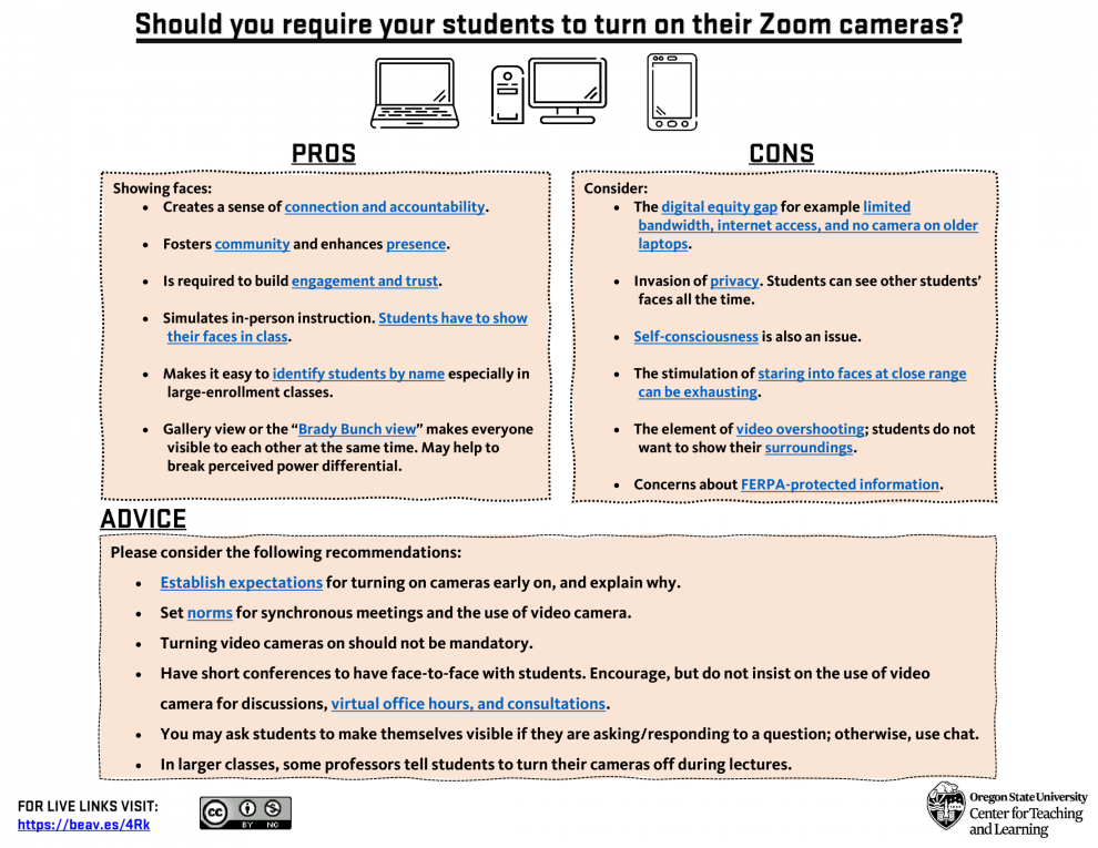 infographiczoomcamerapros_cons-1